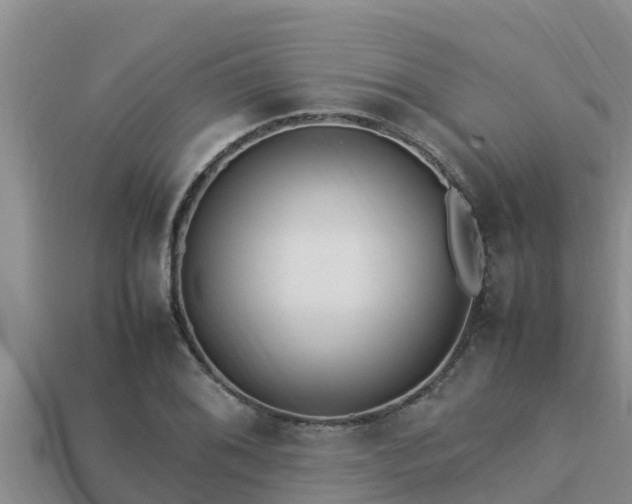 X0000113211076200909171529