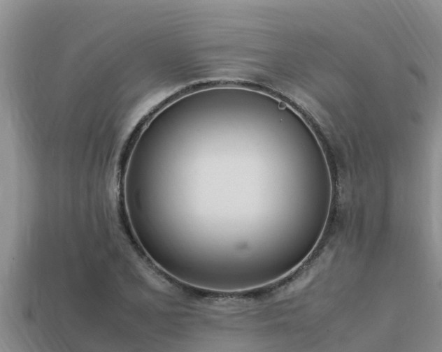 X0000113211077200909171529