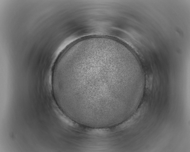 X0000113211078200909171529