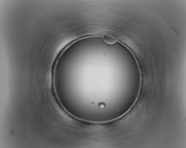 X0000113211079200909171529