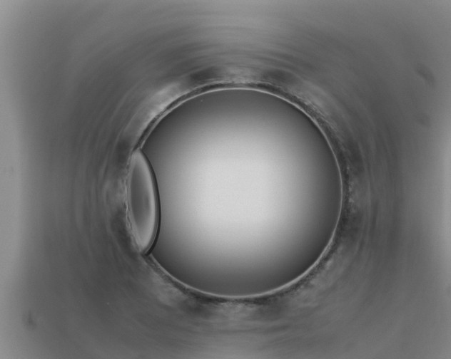 X0000113211081200909171529