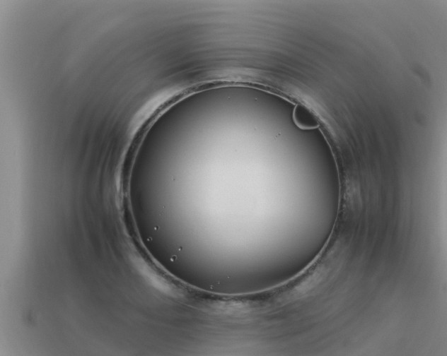 X0000113211082200909171529