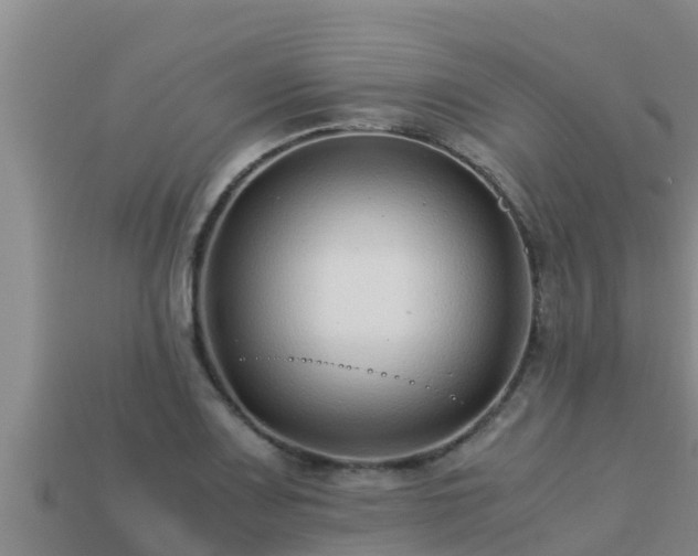 X0000113211083200909171529