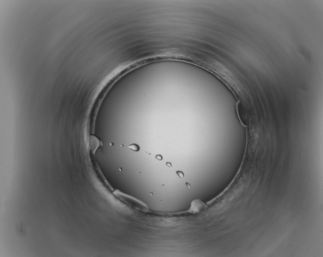 X0000113211084200909171529