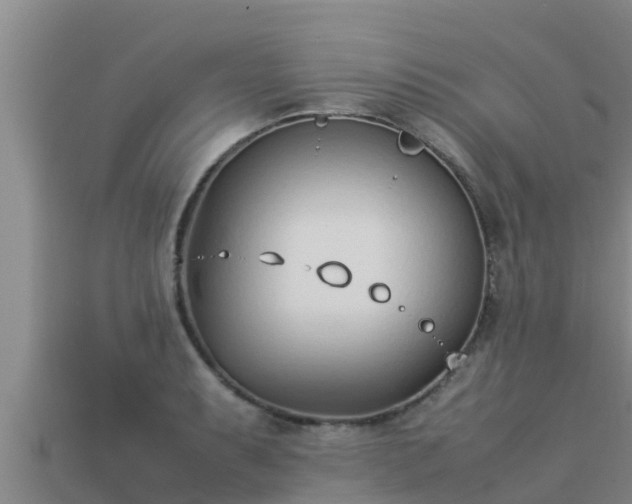 X0000113211087200909171529