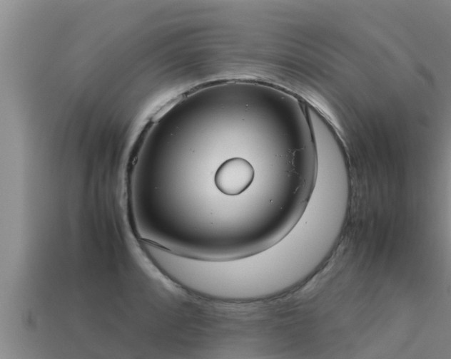 X0000113211088200909171529