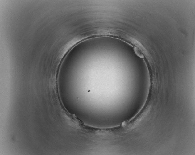 X0000113211089200909171529