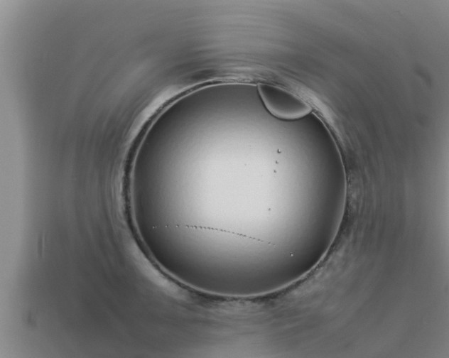 X0000113211091200909171529