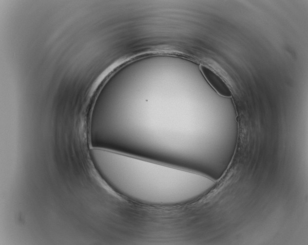 X0000113211092200909171529