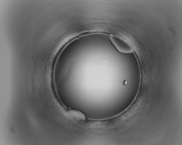 X0000113211093200909171529