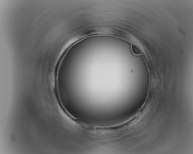 X0000113211095200909171529