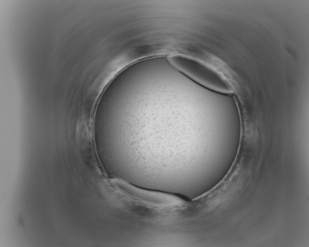 X0000113211097200909171529