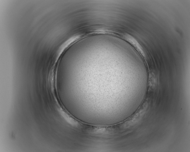 X0000113211098200909171529