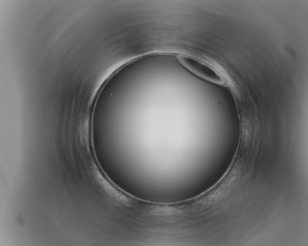 X0000113211100200909171529