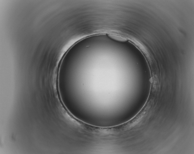 X0000113211102200909171529