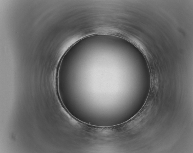 X0000113211103200909171529