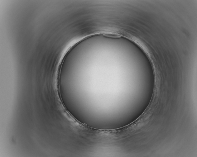 X0000113211104200909171529