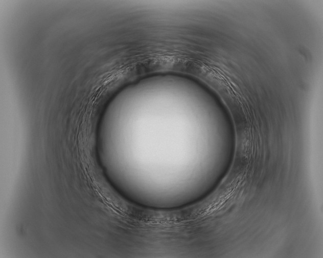 X0000113211105200909171528