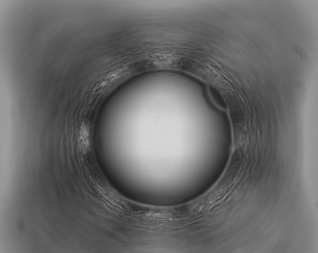 X0000113211106200909171528