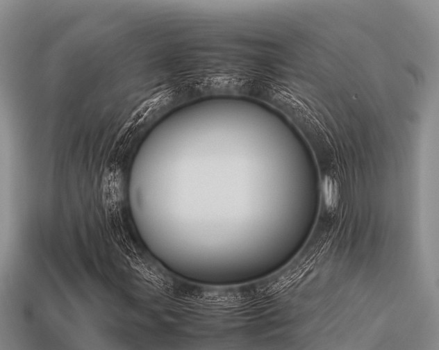 X0000113211107200909171528