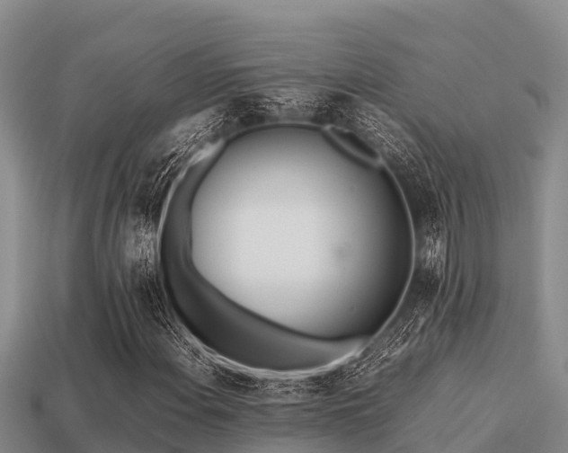 X0000113211108200909171528