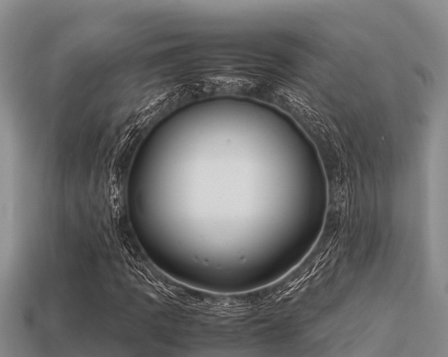 X0000113211109200909171528