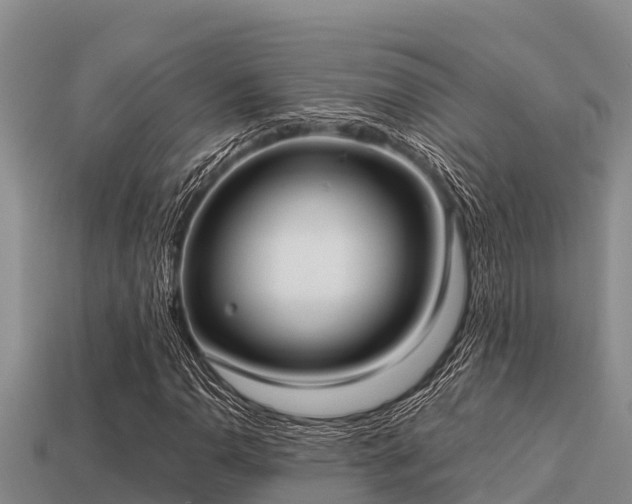 X0000113211110200909171528