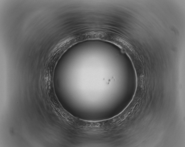 X0000113211111200909171528