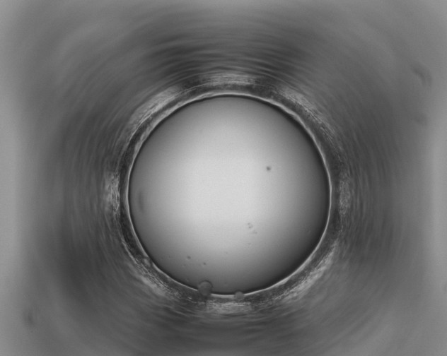 X0000113211113200909171528