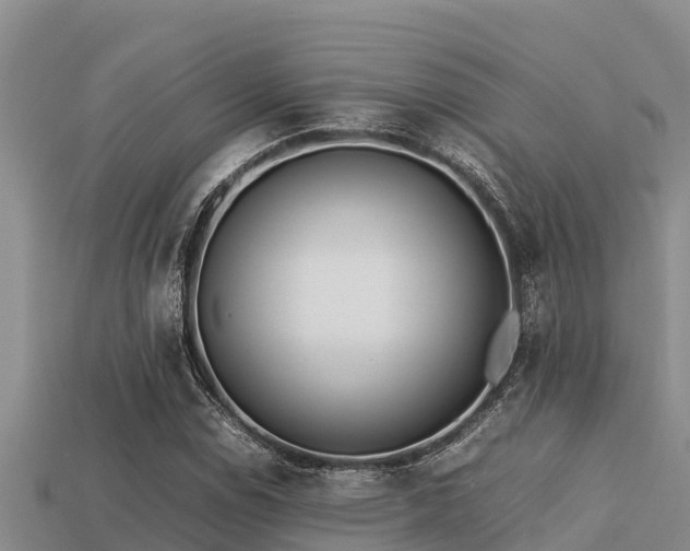 X0000113211114200909171529