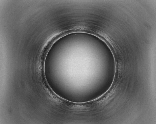 X0000113211115200909171529