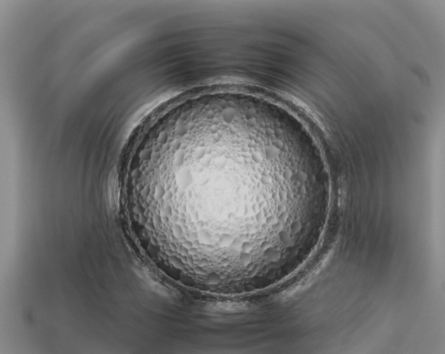 X0000113211117200909171529