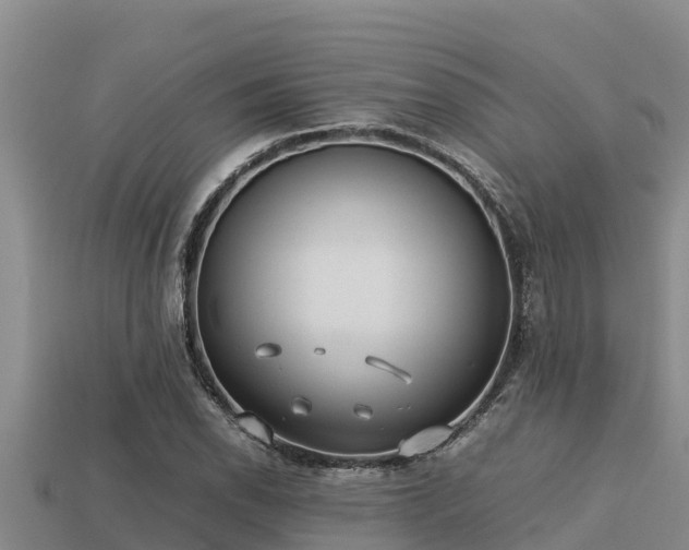 X0000113211118200909171529