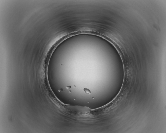 X0000113211119200909171529