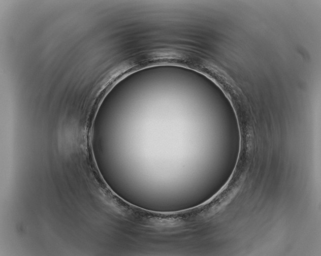 X0000113211121200909171529