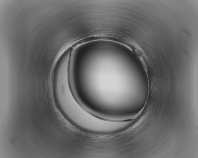 X0000113211122200909171529