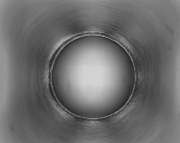 X0000113211124200909171529