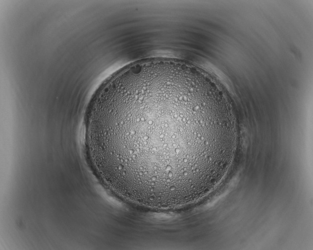 X0000113211125200909171529