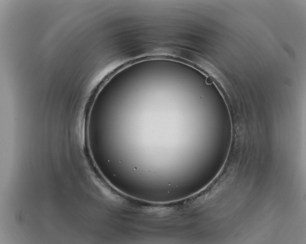 X0000113211127200909171529