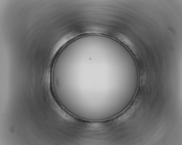 X0000113211130200909171529