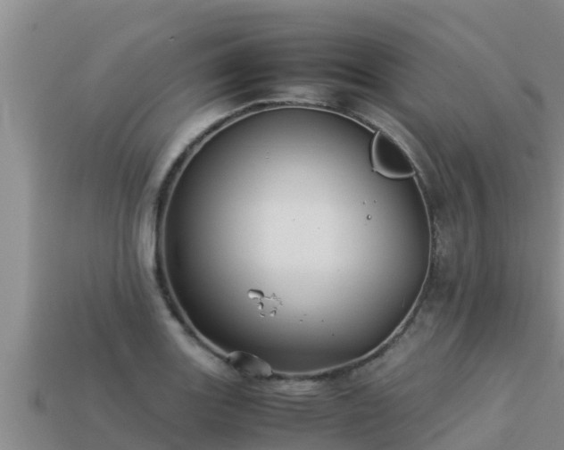 X0000113211131200909171529