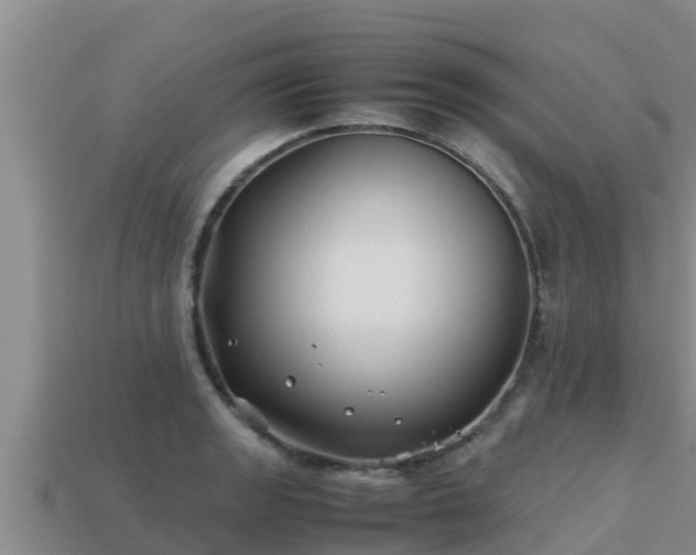 X0000113211133200909171529