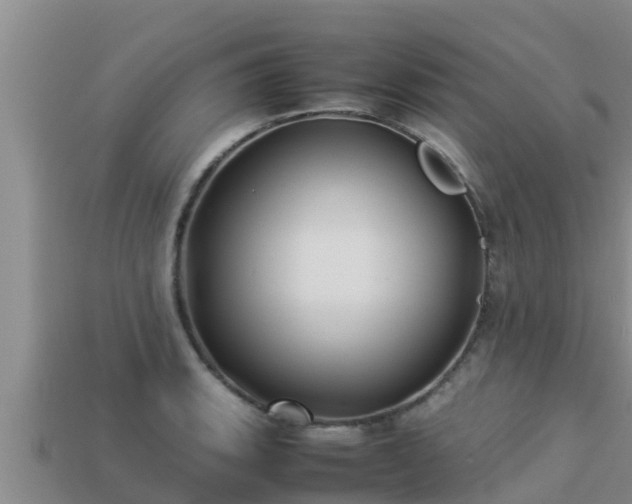 X0000113211135200909171529