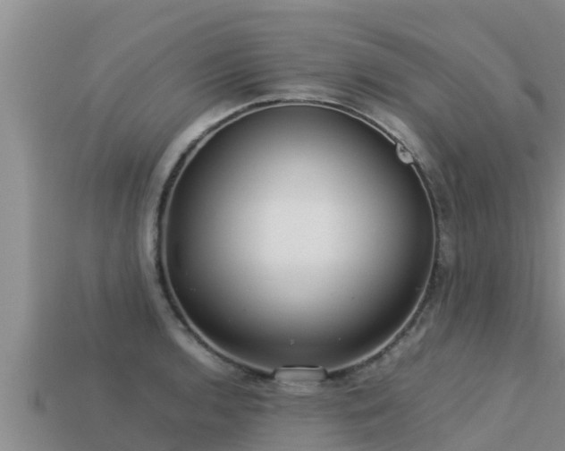 X0000113211136200909171529