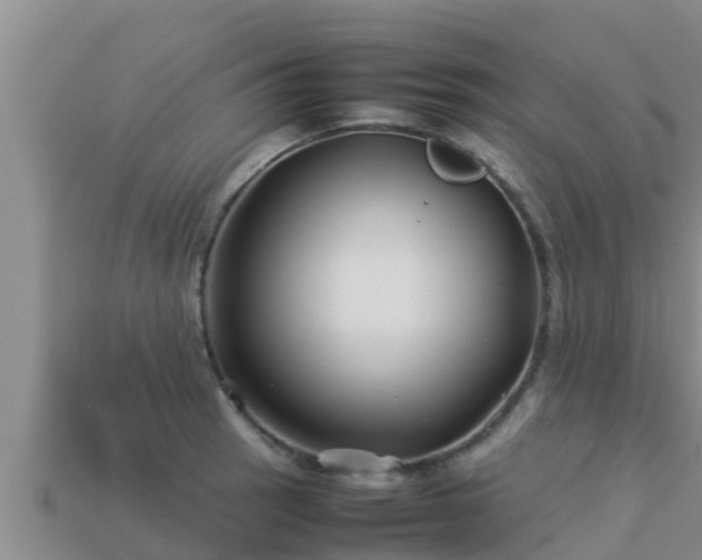 X0000113211137200909171529