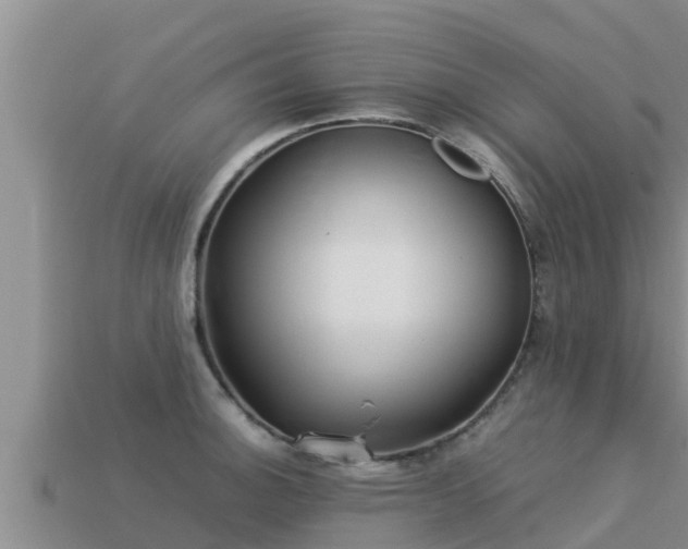 X0000113211140200909171529