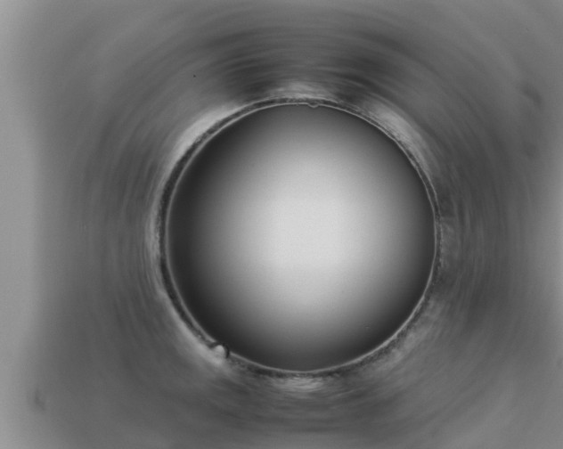 X0000113211141200909171529