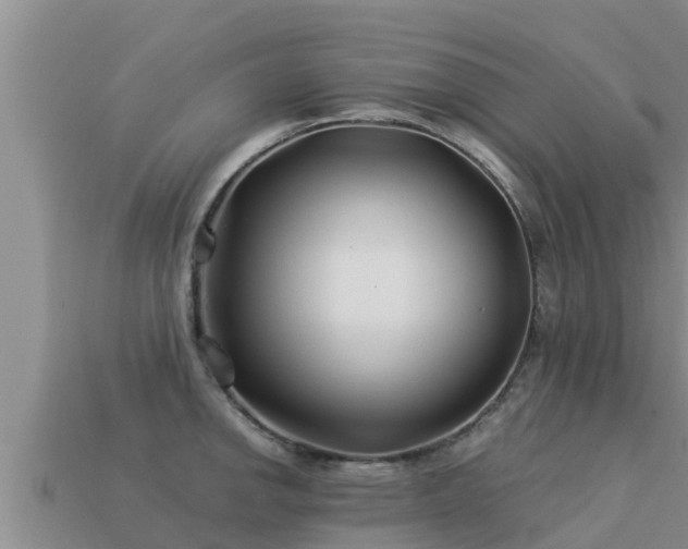 X0000113211142200909171529