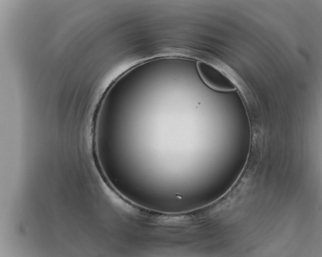 X0000113211143200909171529