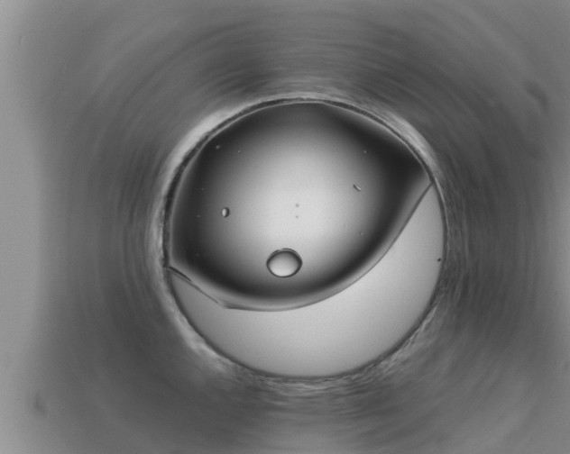 X0000113211144200909171529